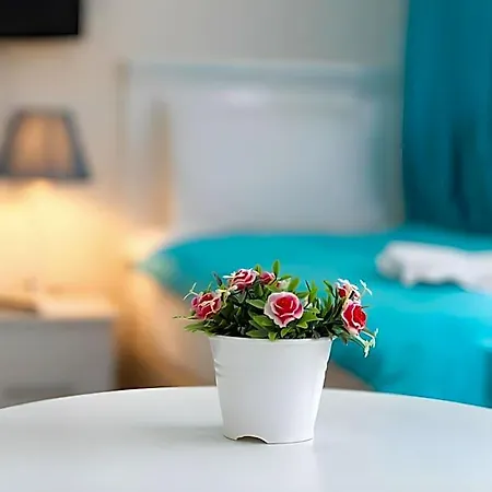 Hotel Nar