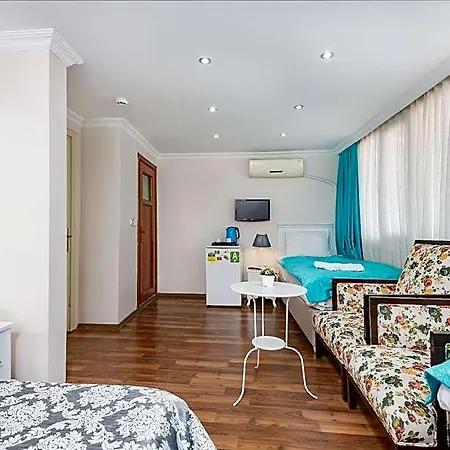 Nar Provincia di Istanbul
